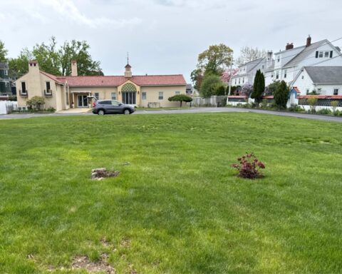The spot where the bush was taken from