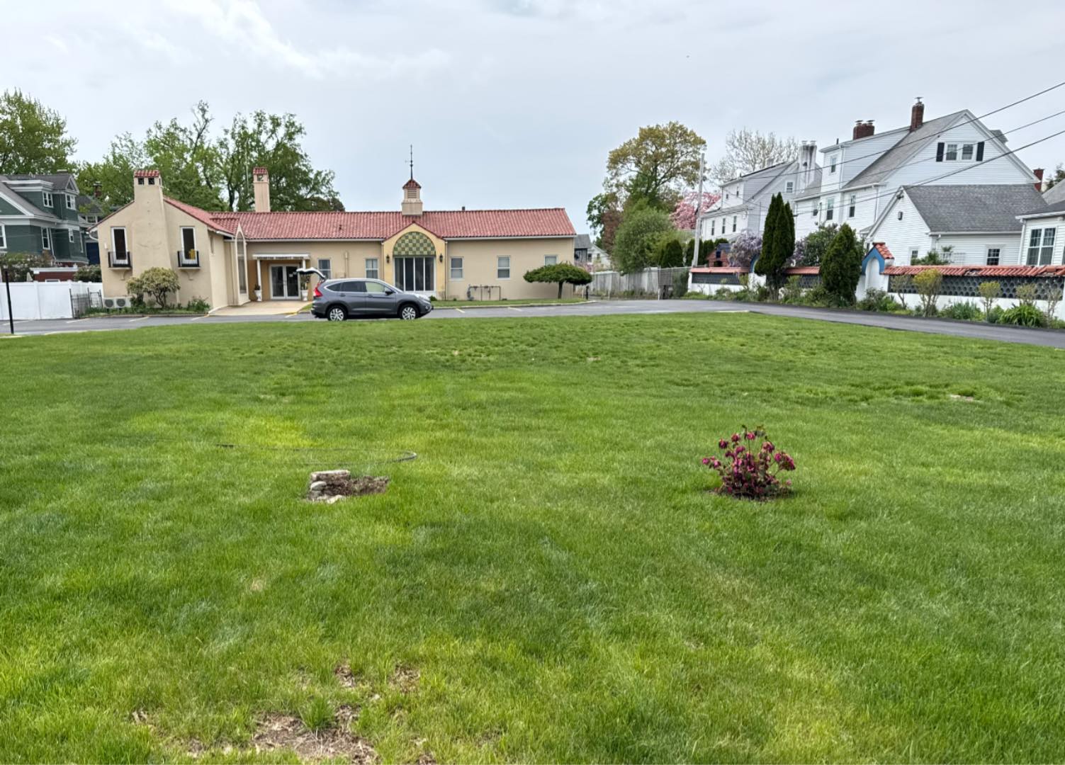 The spot where the bush was taken from