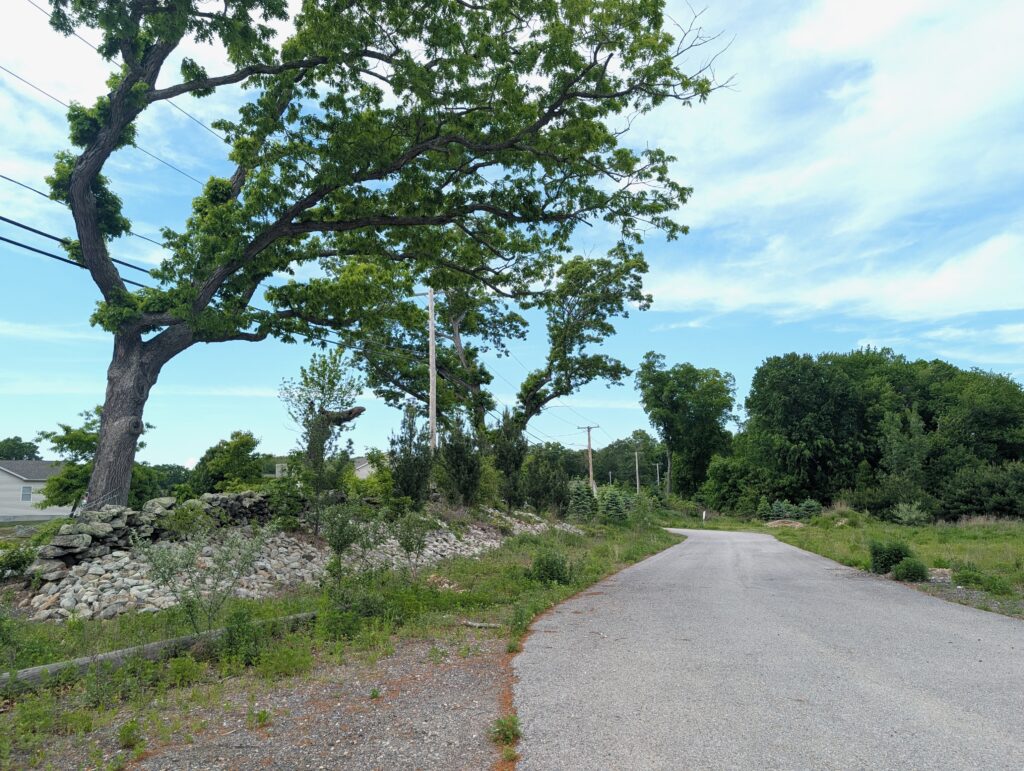 An access road within the property.