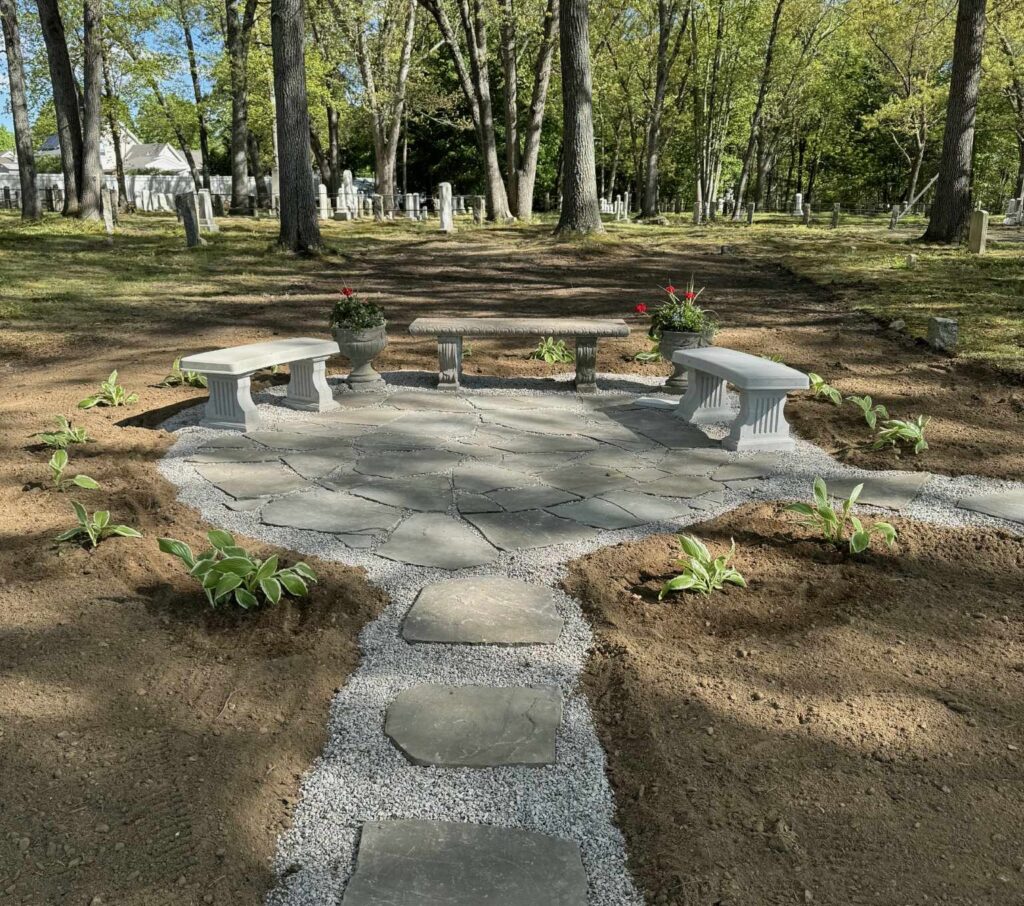 The area with plants added.