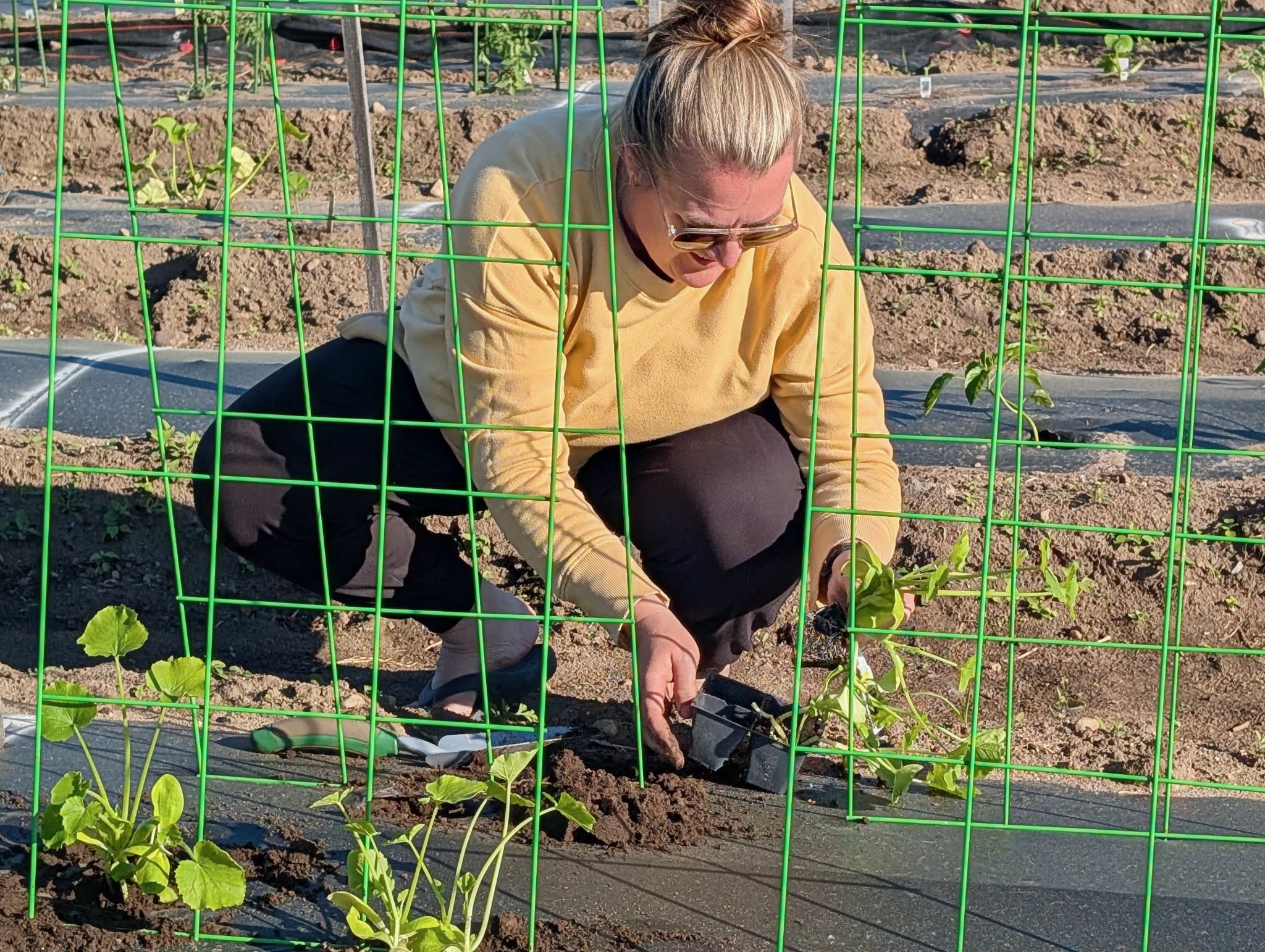 Allie Ambrose plants in Franklin Farm's allotment garden.