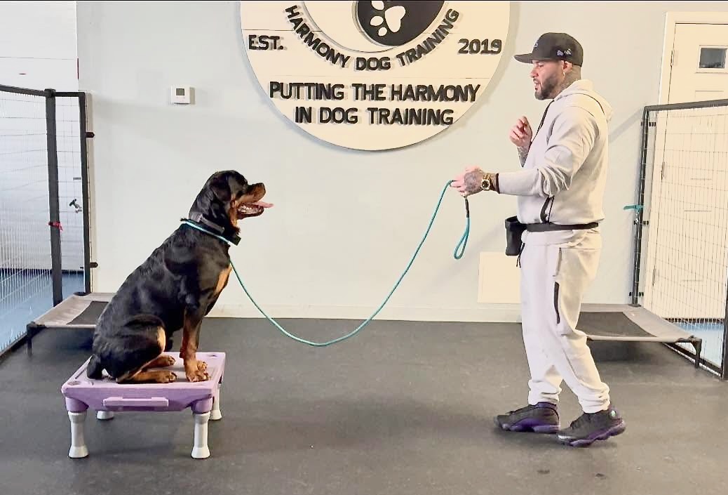 Luis Rosado with a dog in training.