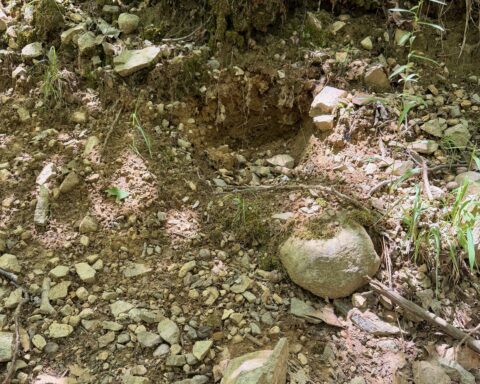 Rocks coming loose from the Diamond Hill Park trails.