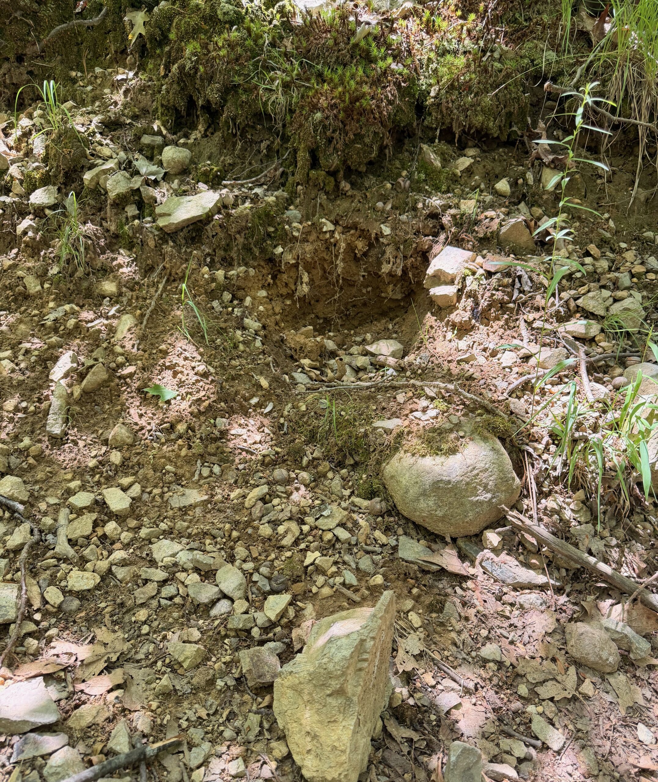 Rocks coming loose from the Diamond Hill Park trails.